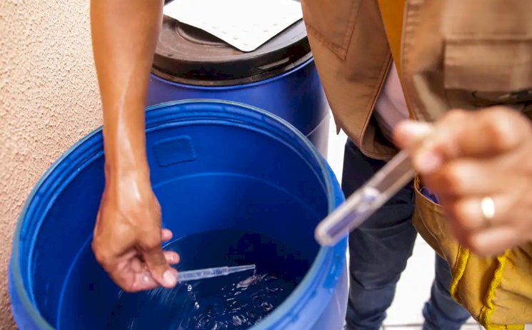 GOIÁS REGISTRA 67 MORTES POR DENGUE EM 2025, MAS NOTIFICAÇÕES APRESENTAM QUEDA SIGNIFICATIVA