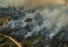 Movimentos populares convocam ato por justiça climática em Belém no próximo domingo