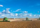 PIB do agronegócio brasileiro recua 1,28% no segundo trimestre de 2024, com queda acumulada de 3,5% no ano