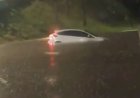 Tempestade em Goiânia: Córregos Transbordam e Carros São Arrastados pela Enxurrada