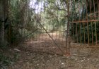 Fazendas Marcadas por Disputas de Terras e Fenômenos Sobrenaturais