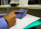 Desemprego no Brasil Cai para 6,4%, Segunda Menor Taxa da Década, Aponta IBGE