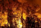 GOIÁS PROÍBE USO DO FOGO E DECLARA EMERGÊNCIA AMBIENTAL POR RISCO DE INCÊNDIOS