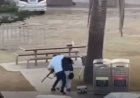 ATIRADOR É DESARMADO POR PEDREIRO DURANTE ATAQUE TERRORISTA EM BONDI BEACH, DIZ GOVERNMENTO AUSTRALIANO