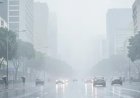 São Paulo acumula quase 200 mm de chuva