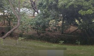 Jovem é encontrado morto com marcas de tiro em parque de Goiânia