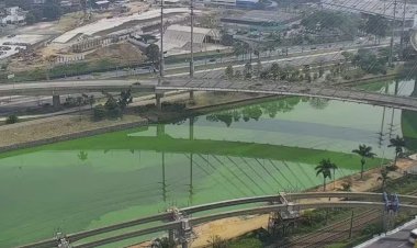 Rio Pinheiros apresenta coloração verde devido à proliferação de algas causada pela seca