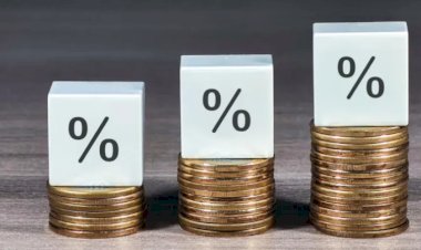 Brasil Figura entre as Economias que Mais Crescem no G20 em 2024, Superando Expectativas