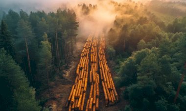 Comissão Europeia propõe adiar implementação da lei antidesmatamento que afeta o agronegócio brasileiro