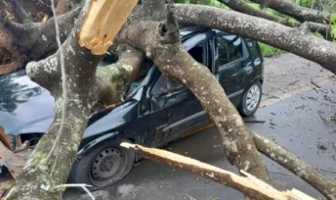 Temporais no Interior de SP Fazem Três Vítimas e Deixam Outros Três Desaparecidos em Campinas e Jandira