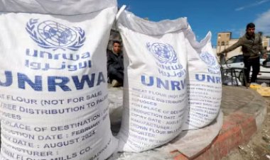 Israel proíbe agência da ONU de atuar no país, impactando refugiados palestinos