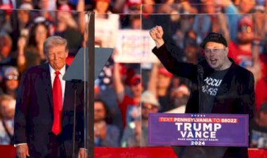 Elon Musk é escolhido para chefiar o novo Departamento de Eficiência Governamental nos EUA