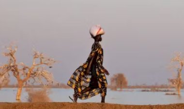 Sudão do Sul: A Tragédia das Inundações e a Contaminação pelo Petróleo