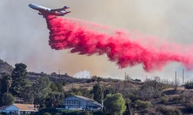 Mistura Cor-de-Rosa é Usada no Combate a Incêndios em Los Angeles