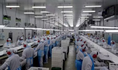 Preços dos alimentos caem no atacado após 10 meses de alta