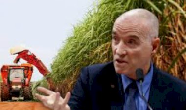 Eike Batista capta US$ 500 milhões para revolucionar o agronegócio com a ‘supercana’