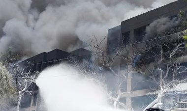 Boeing com 242 pessoas cai na Índia e deixa mais de 200 mortos