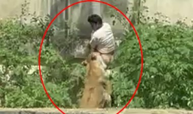 HOMEM MORRE APÓS INVADIR RECINTO DE LEOA EM JOÃO PESSOA (PB)