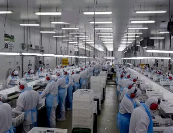 Preços dos alimentos caem no atacado após 10 meses de alta