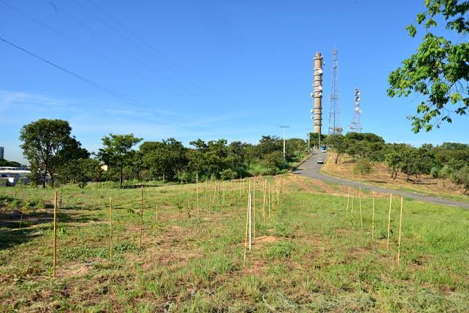 Desocupação do Morro da Serrinha está previsto para essa 2ª-feira