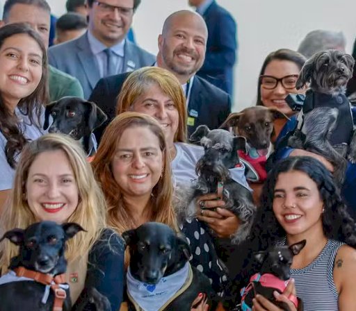 Governo lança SinPatinhas: 