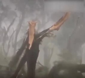 VENTOS DE ATÉ 98 KM/H APÓS CICLONE EXTRATROPICAL DEIXAM RASTRO DE DESTRUIÇÃO EM SÃO PAULO