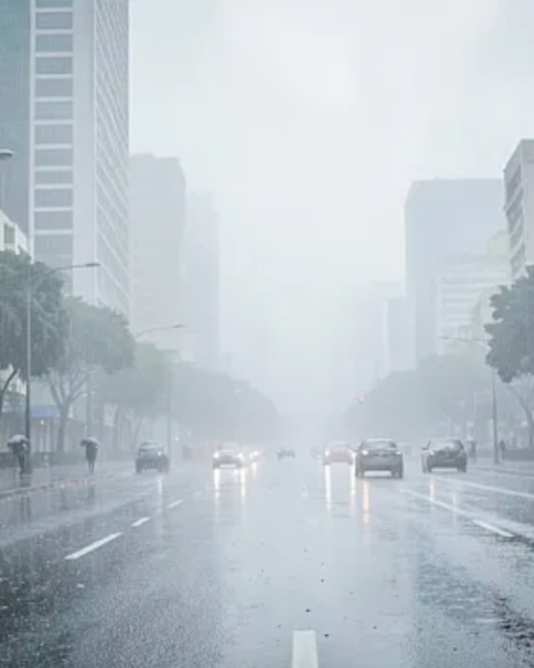 São Paulo acumula quase 200 mm de chuva